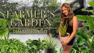 Fresh Air from Farmers Garden in Cubao