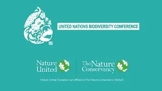 Natural Climate Solutions: Transformative collaborations for a Nature- and climate-positive economy
