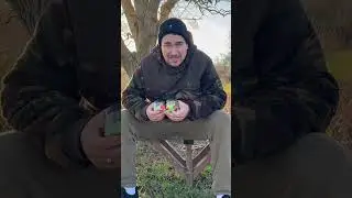 Magic Bean Zig 🔥