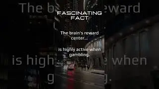 Inside the Brain's Reward Center: Exploring Pleasure and Motivation 🧠✨