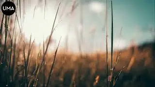 Faith band - Коли долиною піду