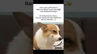 Badmosh #memes #popular #viral #funnymemes #tweetreels #badmosh #bujurg
