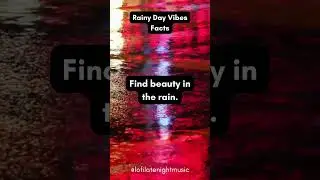 Find Beauty In The Rain #chillfacts