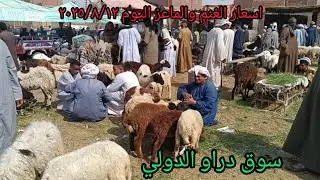 اسعار الغنم والماعز داخل سوق دراو بمحافظة أسوان اليوم ٢٠٢٥/٨/١٢