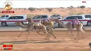 ش 6 (الشامخ) لـ معضد مبارك معيوف الوهيبي 7:41:32 (  مهرجان صاحب السمو الشيخ محمد بن زايد 2025 )
