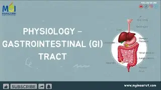 #PHYSIOLOGY #GASTROINTESTINAL (GI) TRACT  #learningclass #education #careeropportunities #mgi