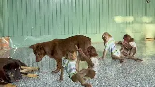 Asher takes care of Sam boy in the most adorable way