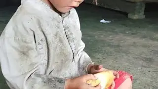 Little Anh Fell While Collecting Firewood But a Kind Uncle Helped Her | Little Anh Survival Life