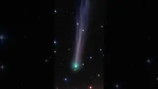 2025 Year of the Comet