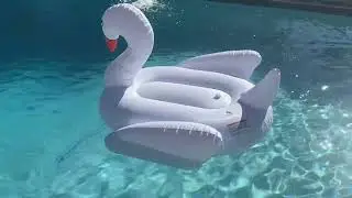 FUNBOY Giant Inflatable White Swan, Luxury Float for Summer Pool Parties and Entertainment Review