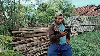 Lakena ekakanca binina epa becca #viral #situbondo #madura