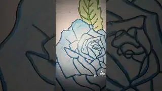 Blue Roses 🩵💜 #diy #satisfying #shortvideo #trending #asmr #colour #mrbeast #coloring