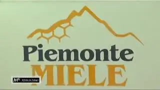 Robe da Fedagri Puntata del 10/12/2017 PIEMONTE MIELE