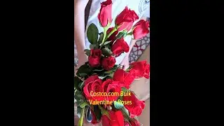 Costco Bulk Roses Unboxing