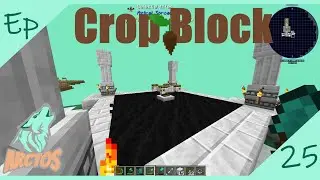 Celestial Altar - Crop Block #25