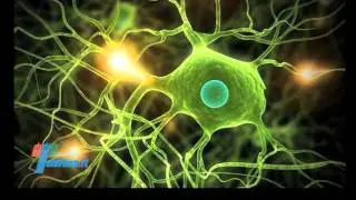 Krabbe disease, Telethon's laboratories working to identify a cure