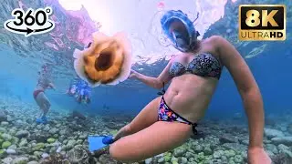 Immersive Underwater ASMR | Real Sea Sounds for Night Calm & Focus