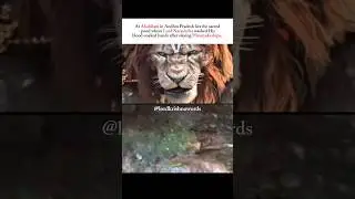 Subscribe for divine Lord Narasimha blessings ✨.