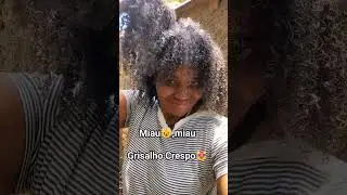 🙀Gata passando miando com seu cabelo crespo platinado 🤍 #cat #grisalhas #crespo #cabelonatural #hair