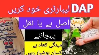 Test the DAP fertilizer yourself to see it is original or fake||DAP Fertilizer laboratory|کھادکاٹیسٹ