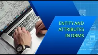 Entity and Attributes in DBMS | Data Base Management System