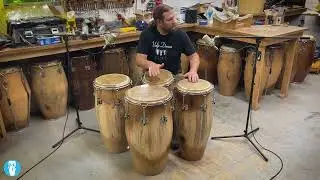 Spalted Poplar Solid Shell Four Conga Set