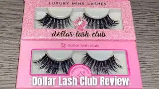 DOLLAR LASH CLUB REVIEW