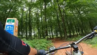 Sunday Sessions: Rowberrow Warren