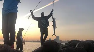 Catch 10kg King Mackerel | Shore Fishing | Multiple Strike | Best Fishing spot UAE | Al Zorah Ajman