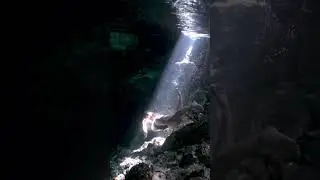 Light beams😌💫 #underwaterworld  #nature #lightbeam #freediving #tulum #tulummexico #cenotes #art