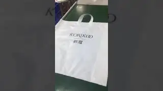 Hot Sale Reusable Custom Logo Printed Plastic Shopping Bag With Soft Loop Handle