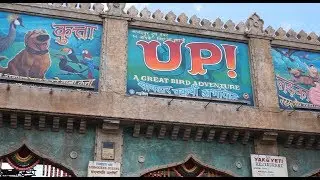 UP! A Great Bird Adventure Full 4K HD Show - Animal Kingdom - Walt DIsney World