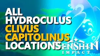 All Clivus Capitolinus Hydroculus Locations Genshin Impact