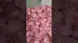 Garlic prices for November 2, 2022
