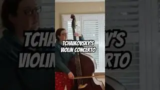 Tchaikovsky violin concerto on double bass