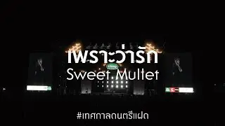 แฝด Music Festival : เพราะว่ารัก - Sweet Mullet