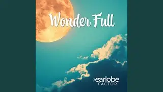 Wonder Full (feat. Suno)