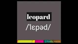 How to pronounce LEOPARD #vocabulary #phonetics #pronunciation pro