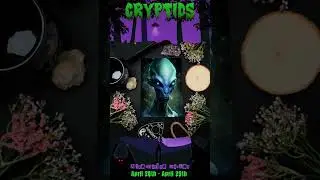 April Alternative Market - CRYPTIDS - Saturday Evening's Vendors #weekendmarkets