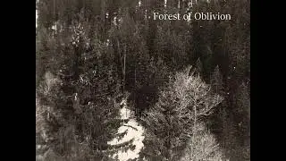 Insignificant Existence - In the Contempt of the Fears (2018)
