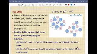 Elektrolit Derişimlerinin Kimyasal Dengeye Etkisi (1/1) - Analitik Kimya