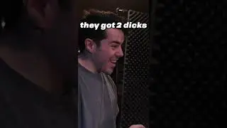 Snakes have two dicks.
