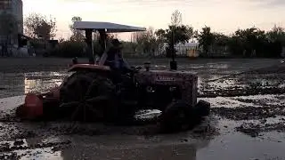 Massey ferguson 260 Gold  çeltik yeri hazırlama
