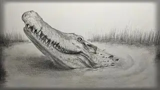 C&oacute;mo dibujar un Cocodrilo|paso o paso|Рисуем Крокодила|Crocodilia|mejor|f&aacute;cil