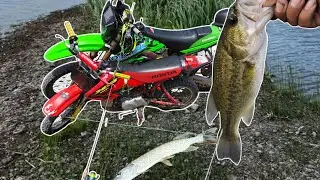 Dirt Bikes and Fishing Rods