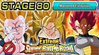 Mastered Evolution Extreme Super Battle Road Stage 80 (NO ITEMS) Dragon Ball Z Dokkan Battle