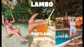 [VLOG] ✈️ JAMAICA Calling! Popcaan Interview, Sizzla Concert & New Year's VIBES!
