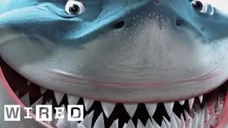 How Accurate Is Finding Nemo?