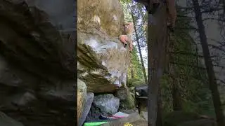 Naughty karate v10 carver