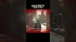 &ldquo;First Time Playing The Classic COD Game&rdquo; 🎮☠️ | Call of Duty: World at War | #shorts
